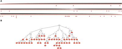 B cell M-CLL clones retain selection against replacement mutations in their immunoglobulin gene framework regions